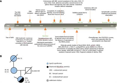 Unique Combination of Diamond–Blackfan Anemia and Lynch Syndrome in Adult Female: A Case Report
